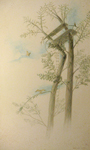 Leaving the Nest